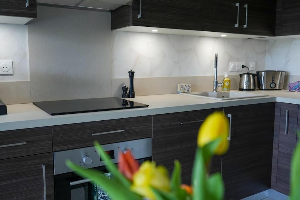 Le Saint Val 004, Appart. Neuf, Jardin, Parking Luaran gambar